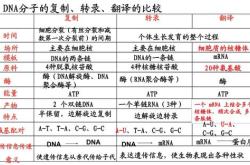 生物词典在线翻译