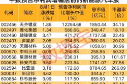新能源指标有效期