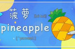 菠萝头英文翻译怎么说