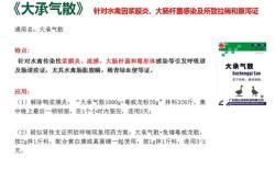 纯子怎么读
