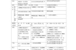转录翻译知识点