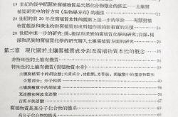 周书·史宁传阅读答案