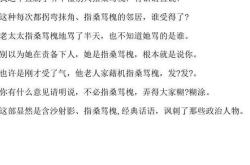 訾骂怎么读