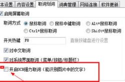 有道词典的翻译包下载位置