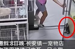 用力推门的英文