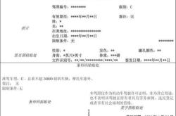 中国驾照翻译公证