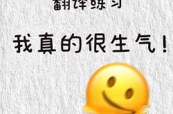 举起你的手翻译