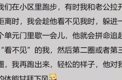 口有百舌不能名其一处也翻译