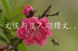 避文言文怎么说