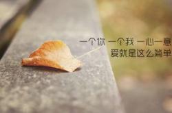 与子偕老英文翻译