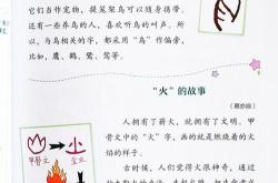 火鸟汉化作弊码礼包码