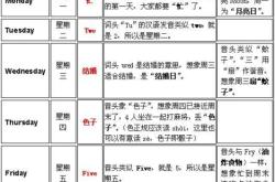 每个星期六翻译