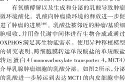 无根树转化为有根树