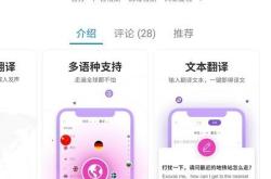 应用翻译涵盖了哪些文本类型