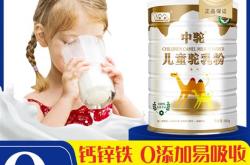 骆驼汉译英