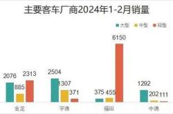 投资新能源骗局