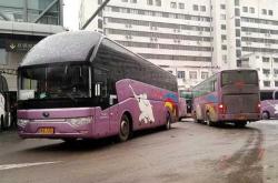 唐河县汽车