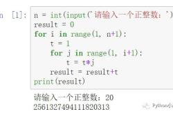 编程怎么学最快入门