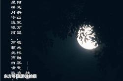 意境优美翻译英文