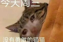他打算下周去英语