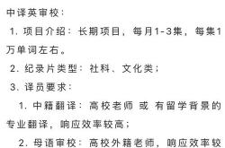 翻译审核