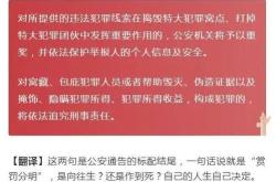 调味品翻译成英文