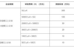 北京新能源指标竞价规则