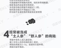 新发现英语翻译