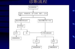 侧支循环的临床意义