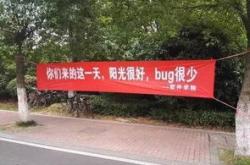 编程实训小结