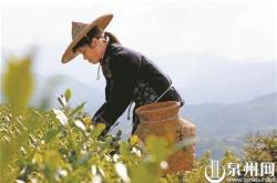 泉州方言翻译