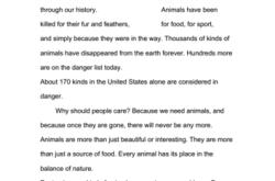 关于动物的作文英语带翻译