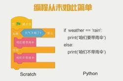 怎样选择业余编程方向专业