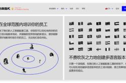 视频讲解翻译内容的软件