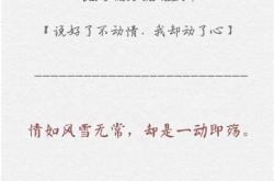 无感翻译英文