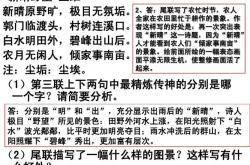 新晴诗句翻译大全