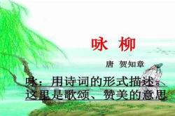 咏水意思