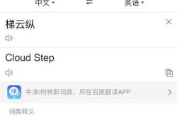 翻译LSP公司