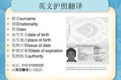 福州护照泰语翻译招聘网