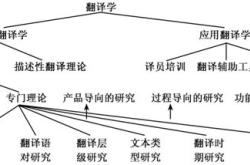 还有哪些翻译策略的例子
