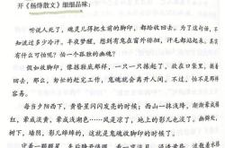 杨绛翻译度在哪里提出
