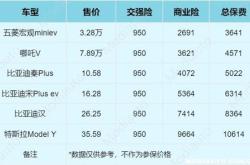 新能源车应该买几种险