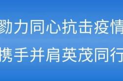 党群工作的意见和建议