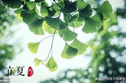 描写夏天的英语句子带翻译