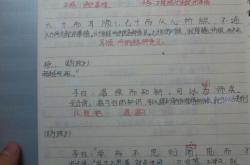 论语十二章翻译君子食无求饱