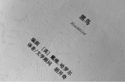 中国戏剧翻译成英文