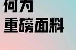 好奇的翻译