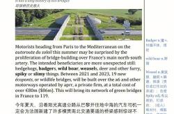 过了马路翻译英文