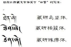 藏族语言翻译器