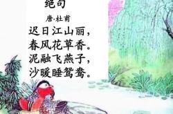 弈秋注释